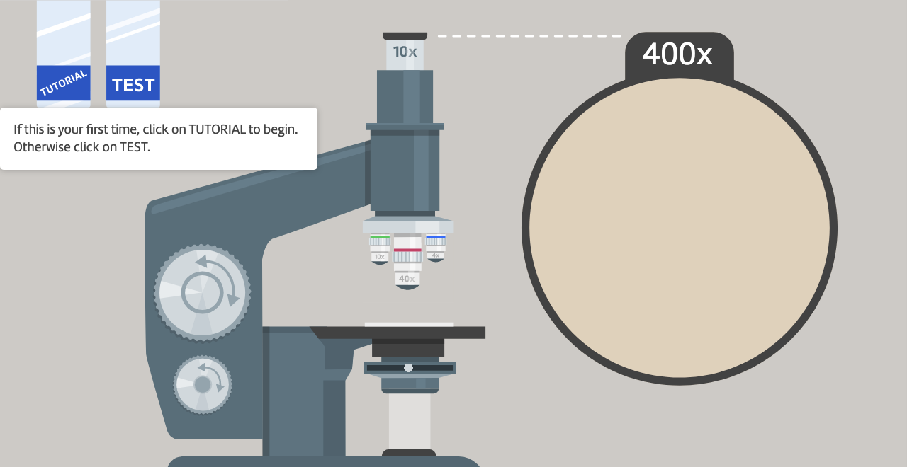 How to use a microscope